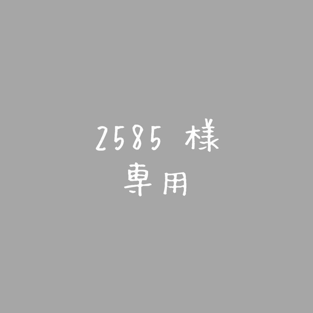 ネイルパーツ 2585