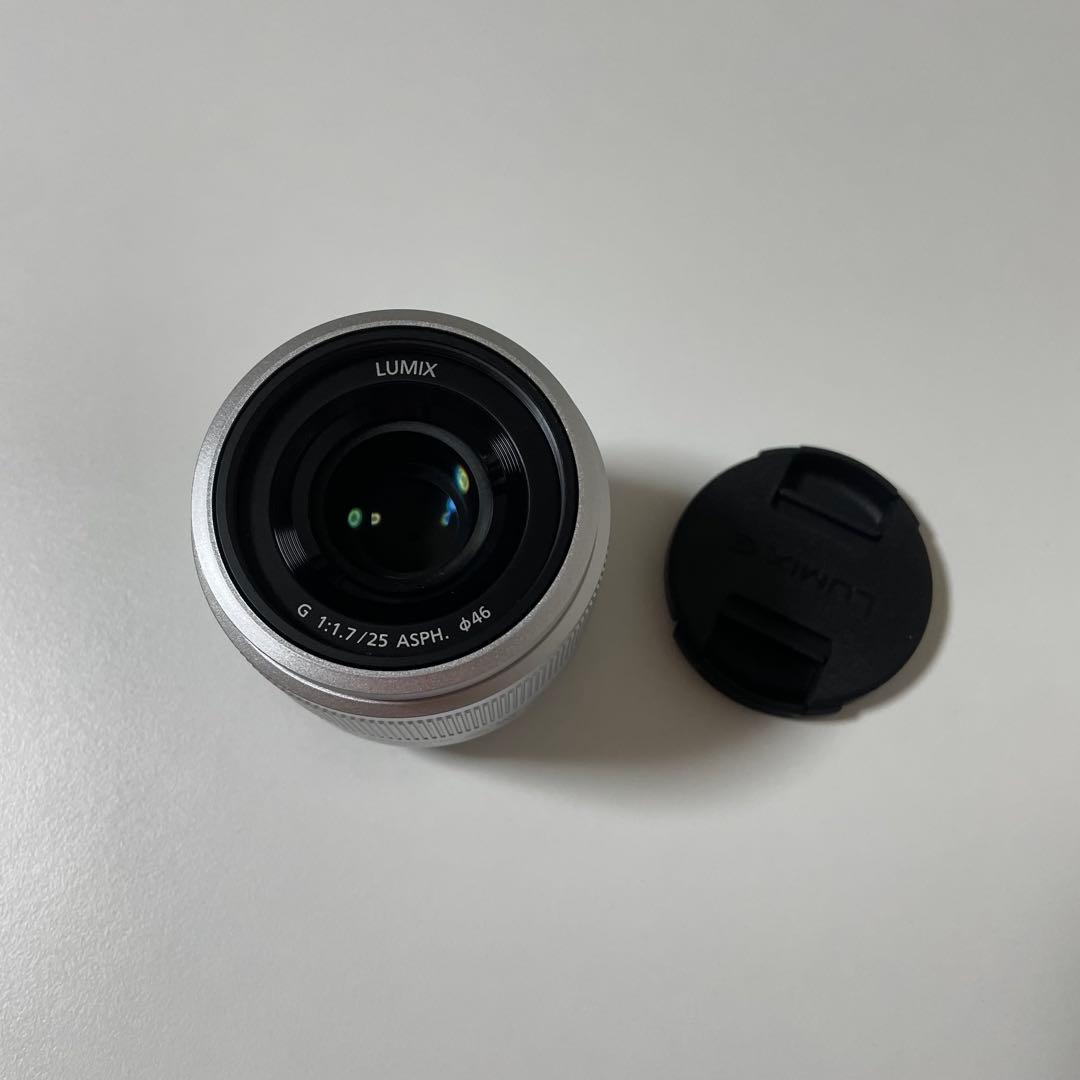 Panasonic Lumix DC GF10W ダブルレンズキット