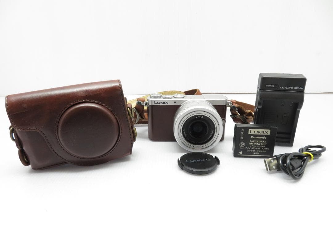パナソニック ミラーレス 一眼カメラ LUMIX DMC-GM1S 標準レンズ