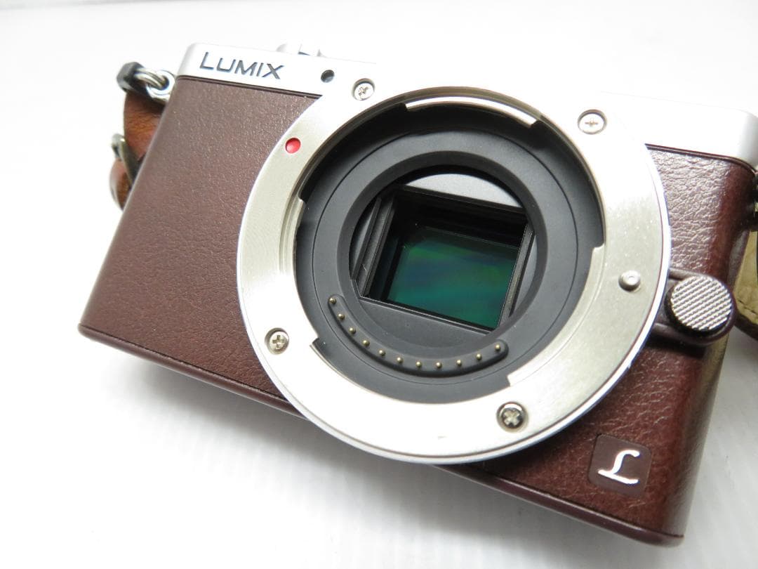 パナソニック ミラーレス 一眼カメラ LUMIX DMC-GM1S 標準レンズ