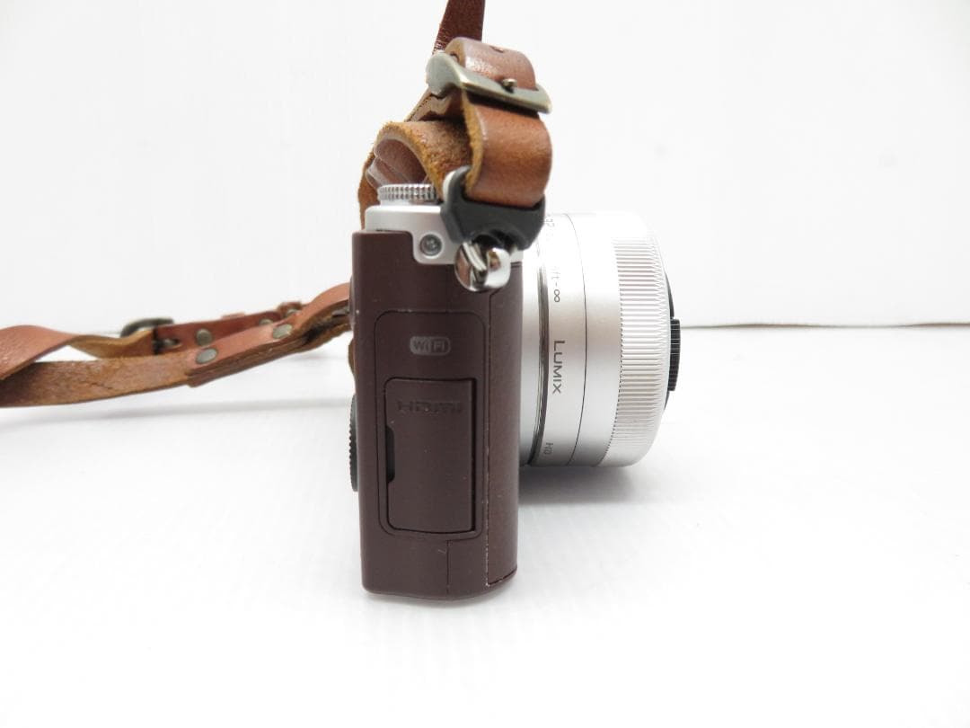 パナソニック ミラーレス 一眼カメラ LUMIX DMC-GM1S 標準レンズ