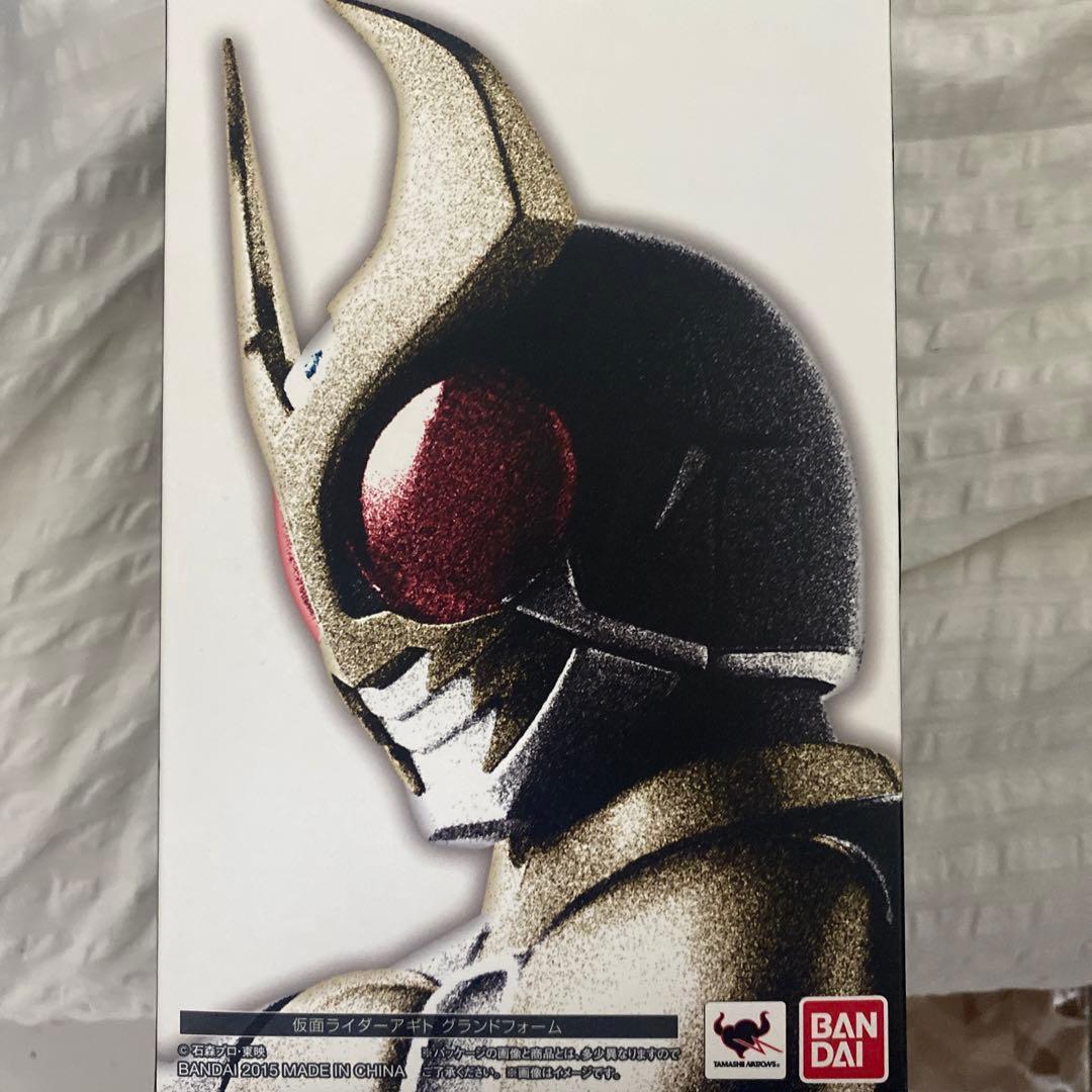 真骨彫製法　S.H.Figuarts　仮面ライダーアギト