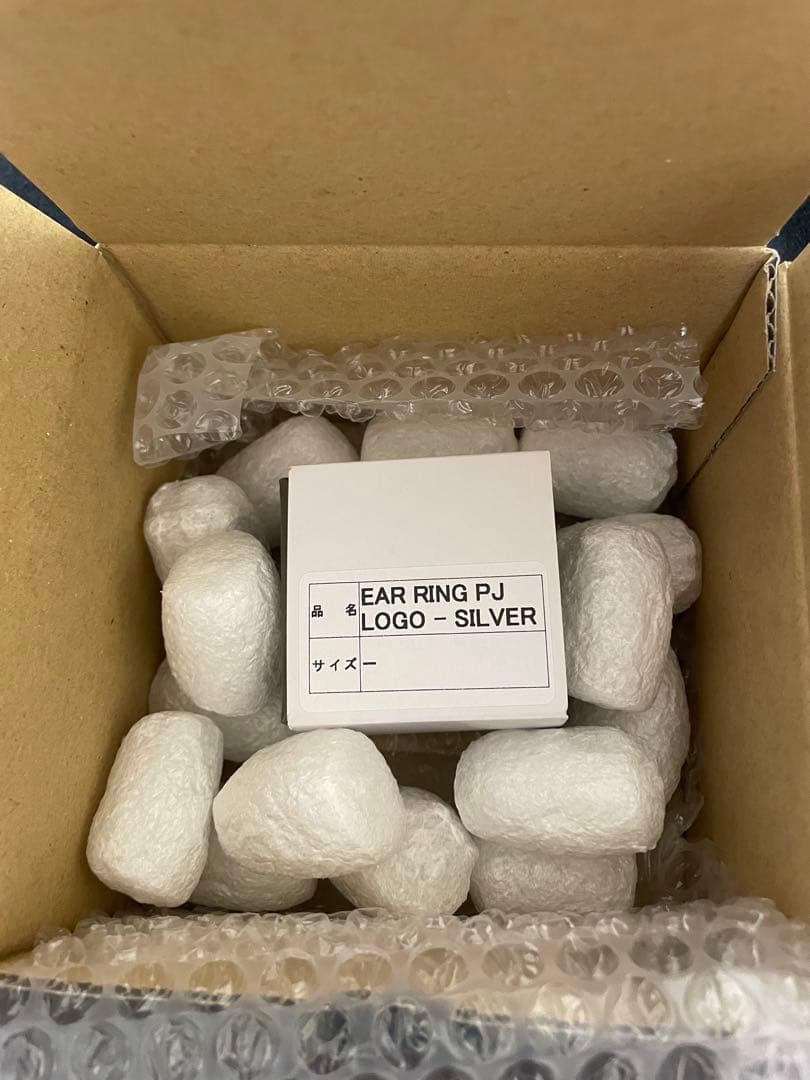 【クリスマス限定価格】pointless Journey 常田大希シルバーピアス