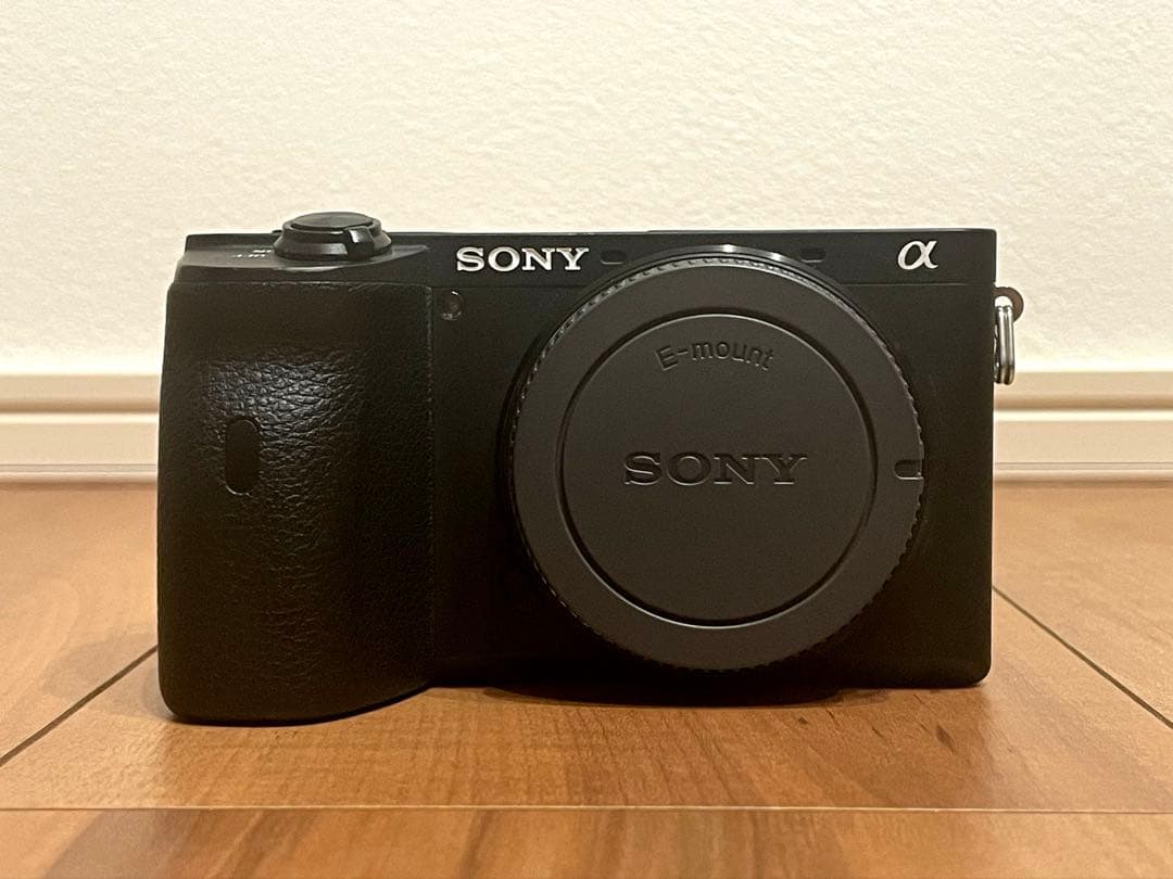Sony a6600 撮影枚数5,000枚未満