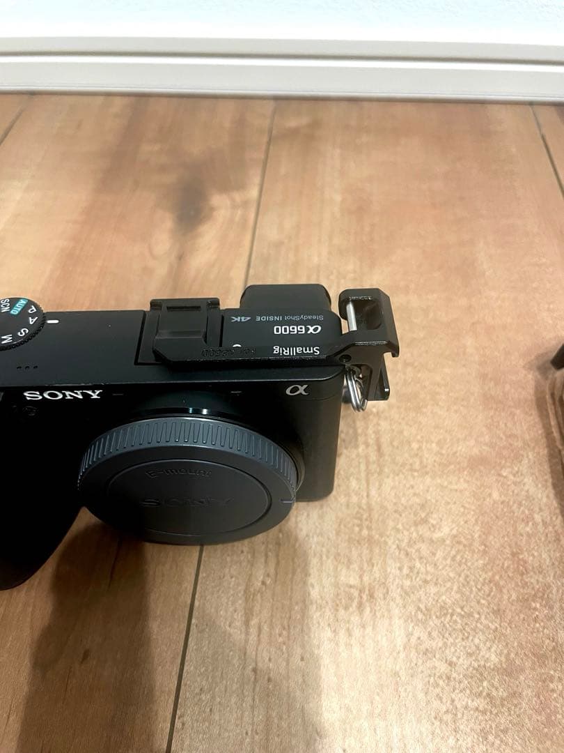 Sony a6600 撮影枚数5,000枚未満