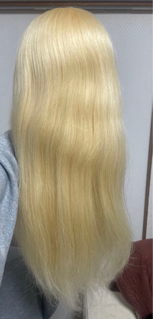 No.66プラチナブランドelegance 美容学生 ウイッグ