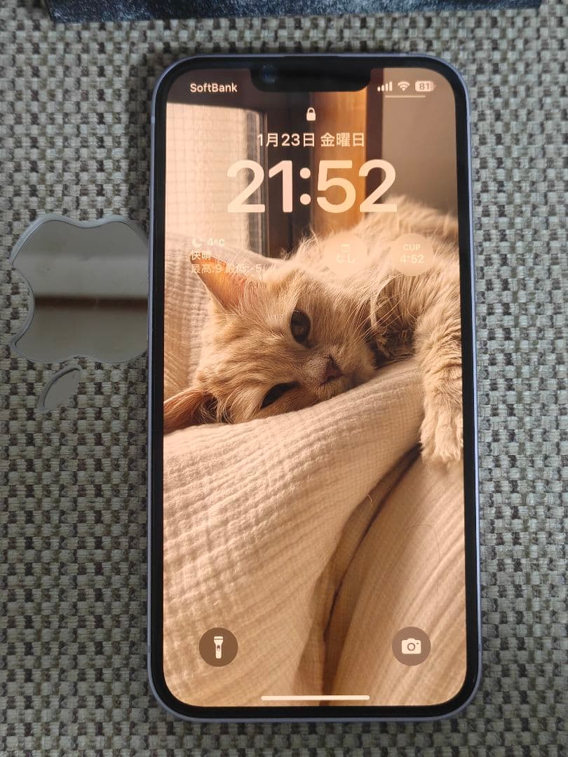 【美品】iPhone14 128GB パープル SIMフリーApple