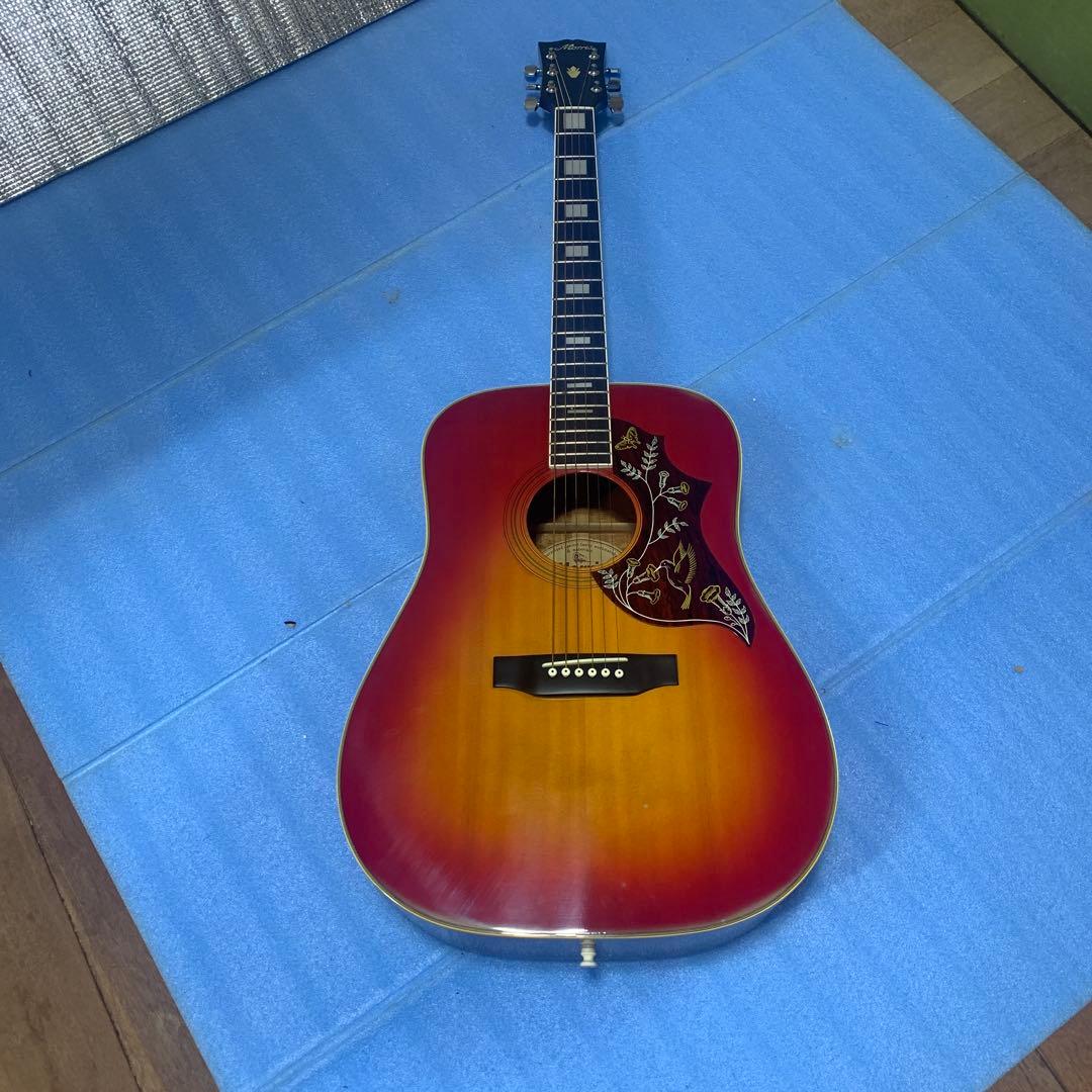 Morris フォークギター WH-25