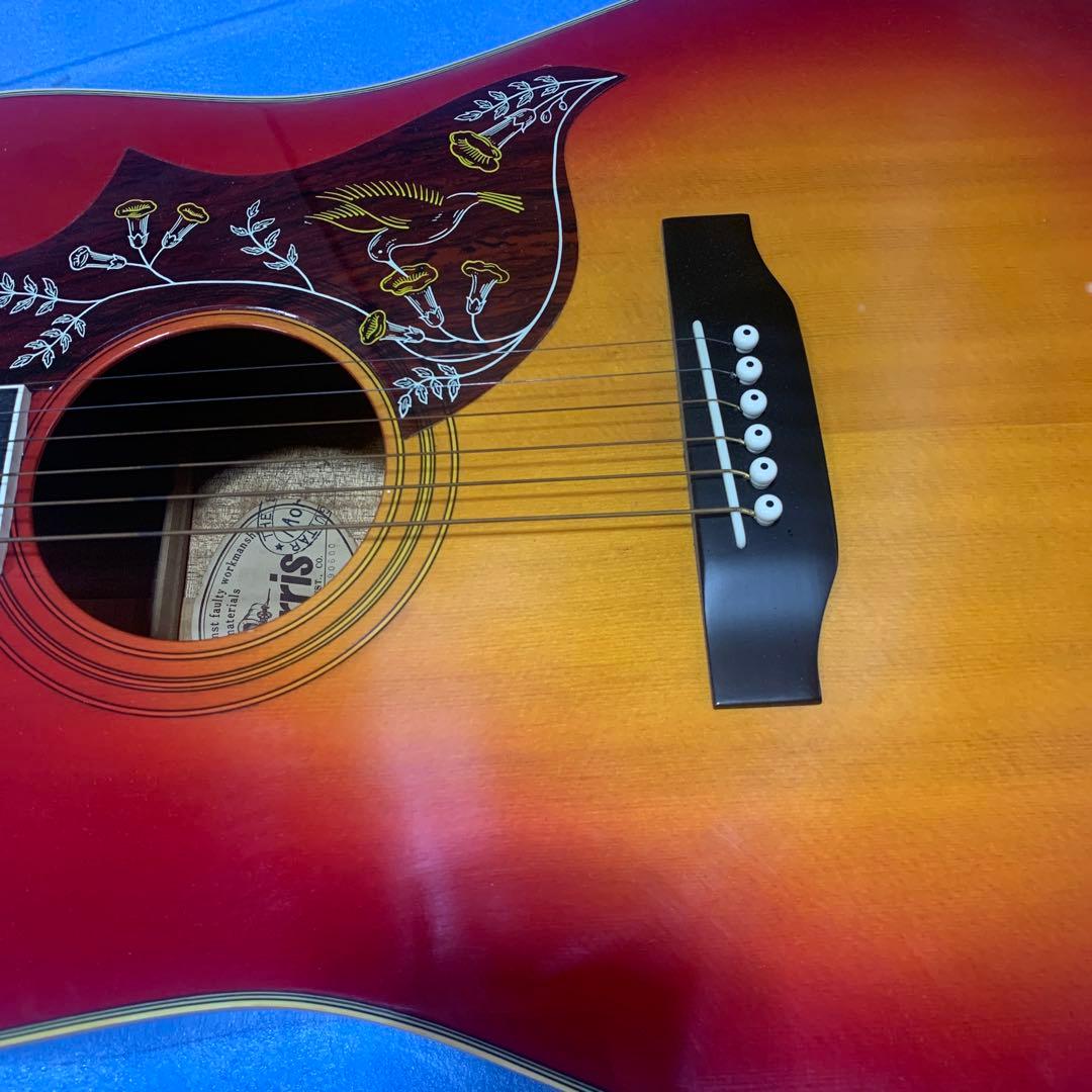 Morris フォークギター WH-25