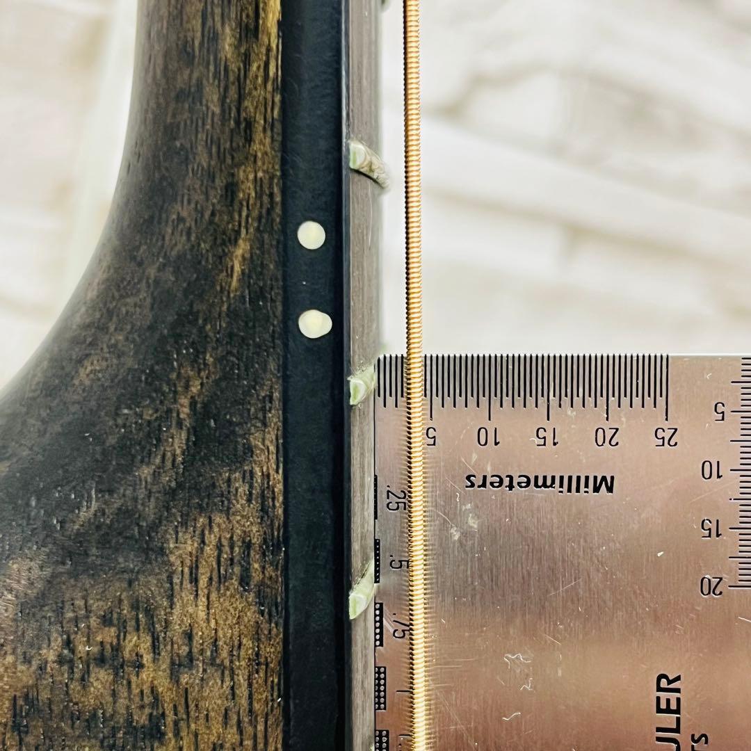 美品 ARIA アリア Fホールエレアコ FET-F2 STBK