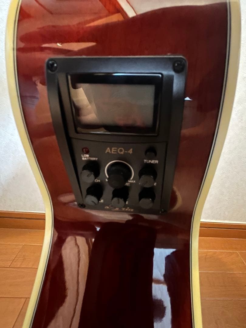 Legendエレアコ　ケース　スタンド　　　カポ付き