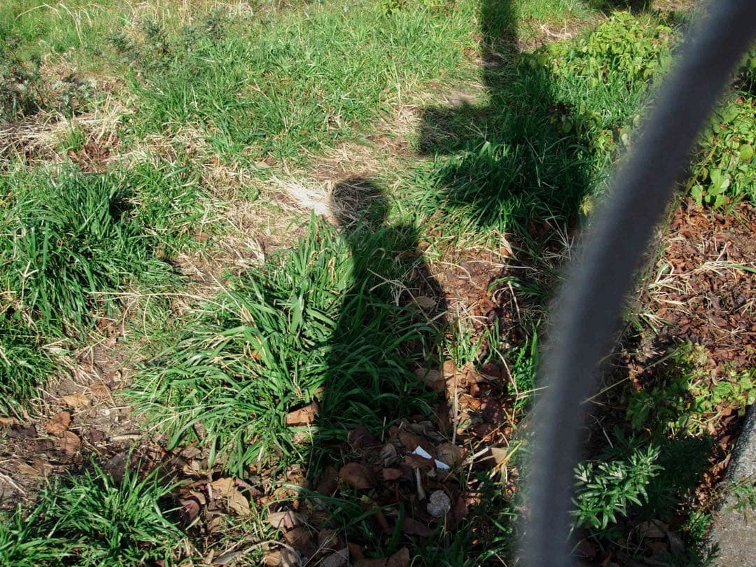 【話題のオールドコンデジ！/作例付】Nikon COOLPIX 5200