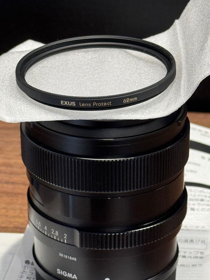 SIGMA (シグマ) 20mm F2 DG DN (ライカSL/TL用)