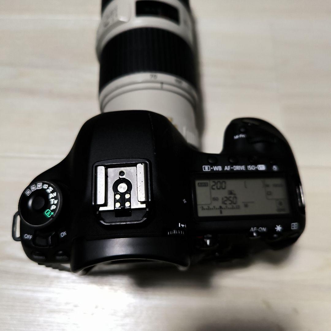 Canon EOS 5DM3+ EF70-200 F4 L IS ジャンク品