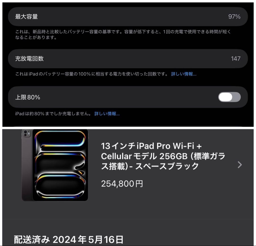 iPad Pro (M4) 13インチ Wi-Fi + Cellular