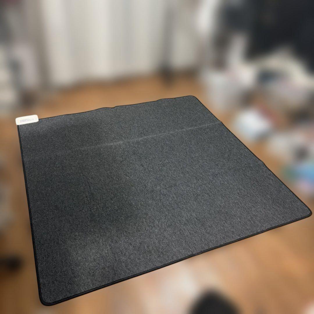 エレクトロラックス　電場磁場カット　ホットカーペット　EHC720