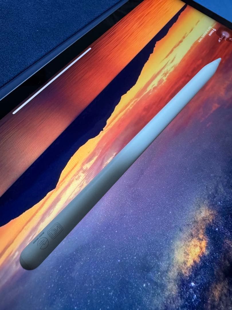 Apple iPad Pro 12.9インチ (第5世代) スペースグレー
