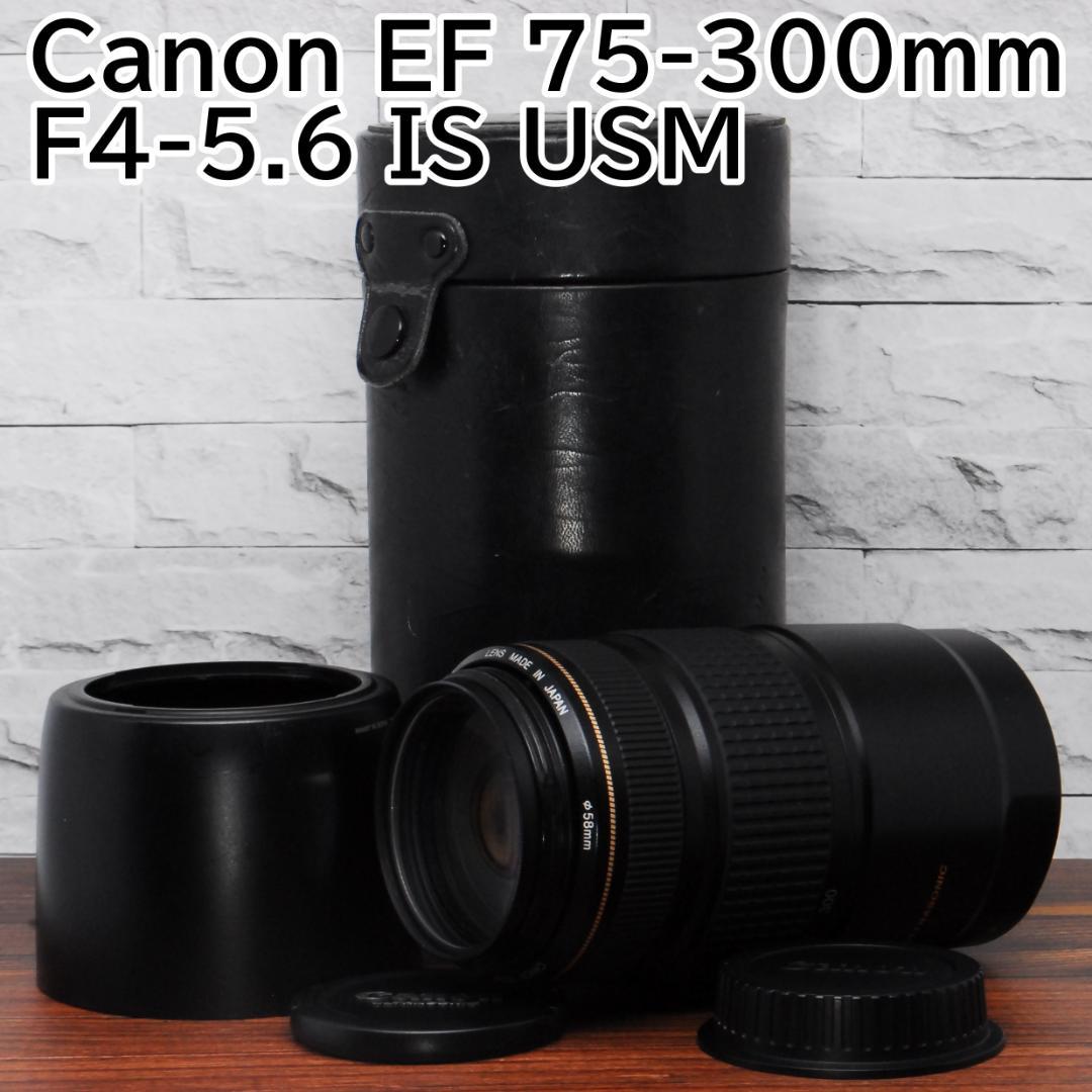 ✨望遠レンズ✨ Canon EF 75-300mm F4-5.6 IS USM