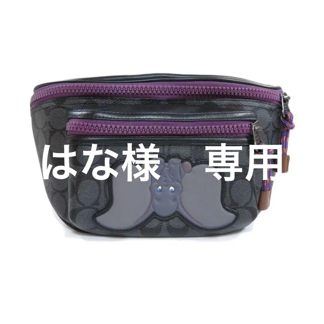 はな　coach ボディバッグ