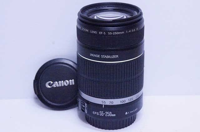 手振れ EF-S 55-250mm F4-5.6 IS キャノン