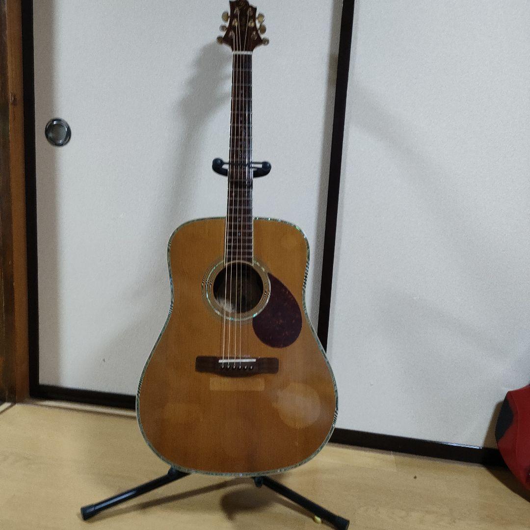 ギター Greg Bennett D-8