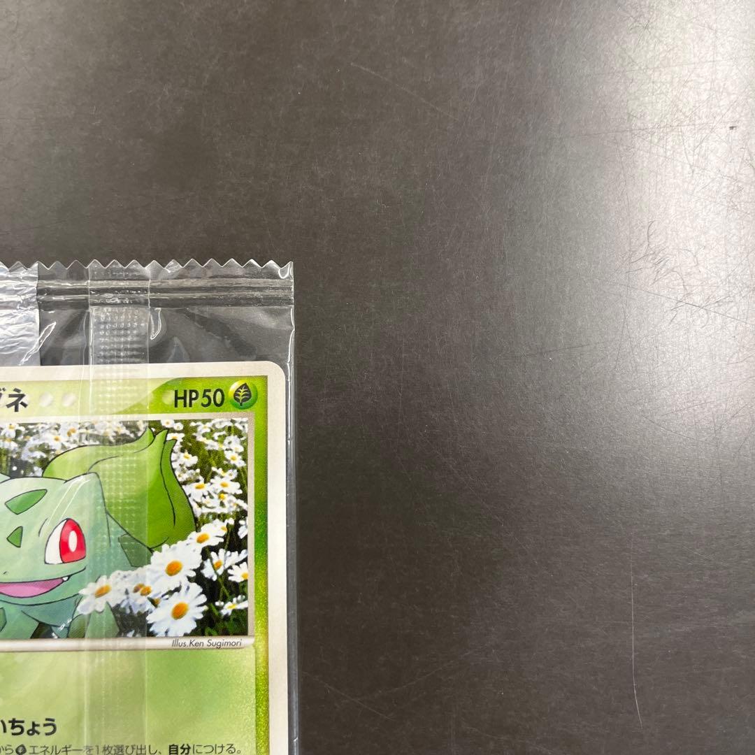 【未開封】ポケモンプロモMeiji 明治ヒトカゲ・ゼニガメ・フシギダネ3枚セット