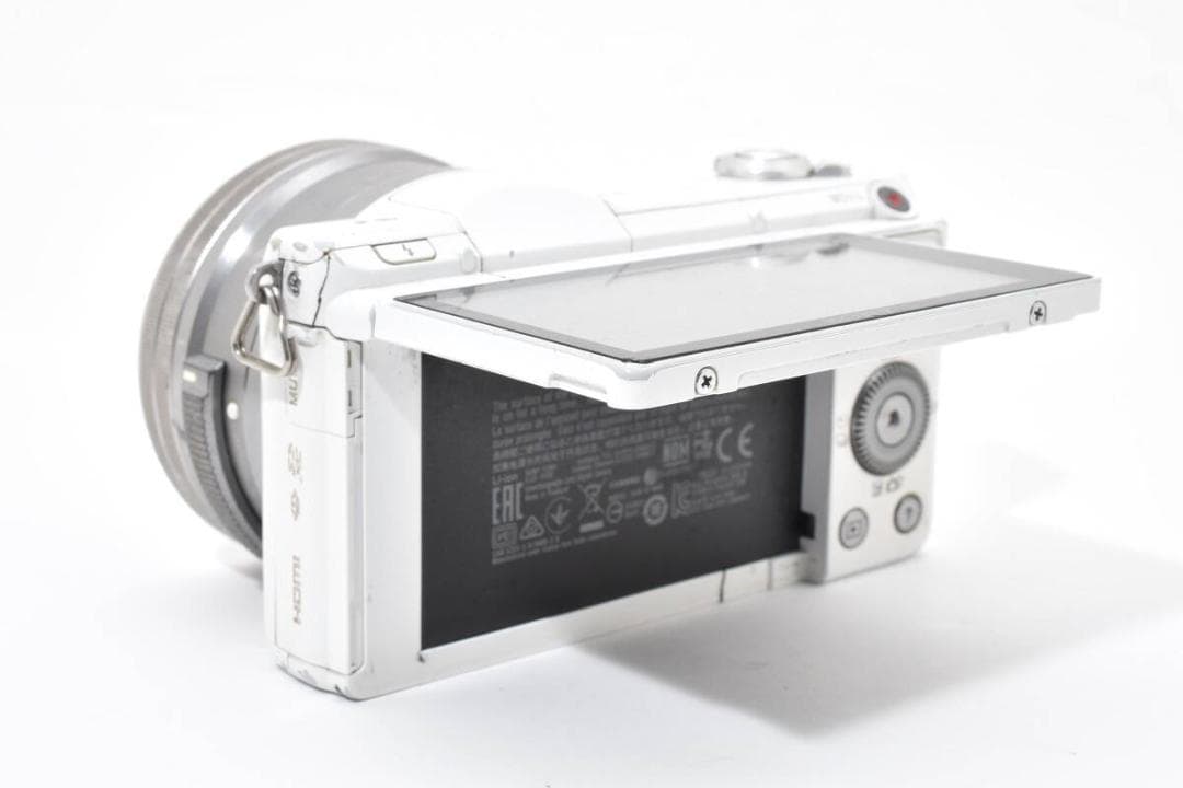 SONY α5100 + SONY E 16-50mm PZ OSS #1022