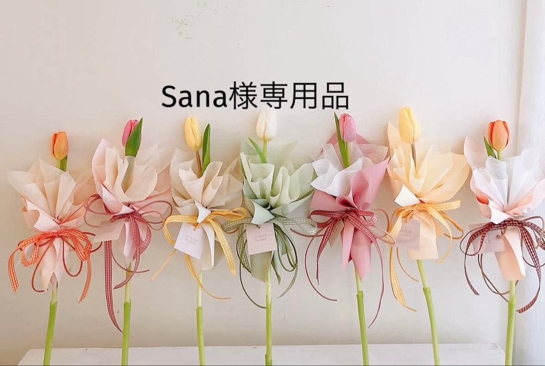 Sana　クレンザー業務