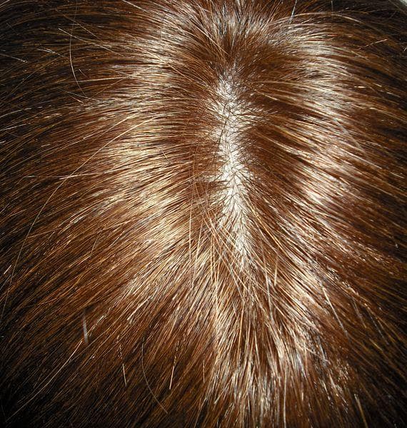 新品　人毛　夏に嬉しい　インナーカラー　ブラウン　スーパーロング　Mサイズ