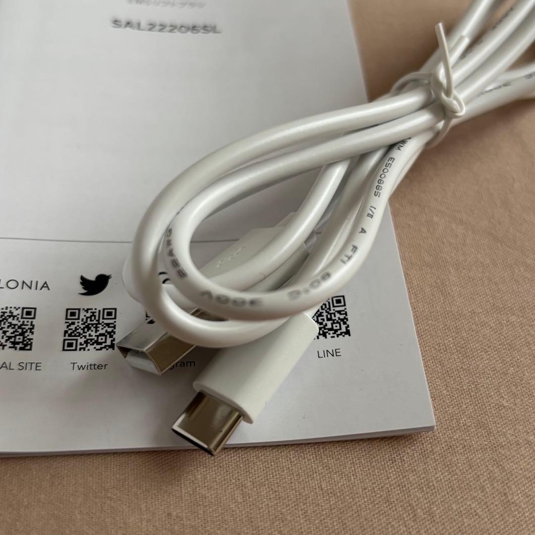 【 美品 】 SALONIA EMS LIFT BRUSH シルバー