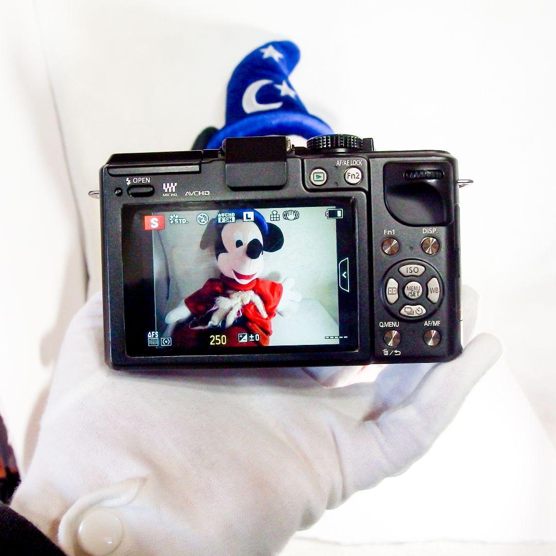 完動美品 パナソニック panasonic DMC-GX1 ブラック