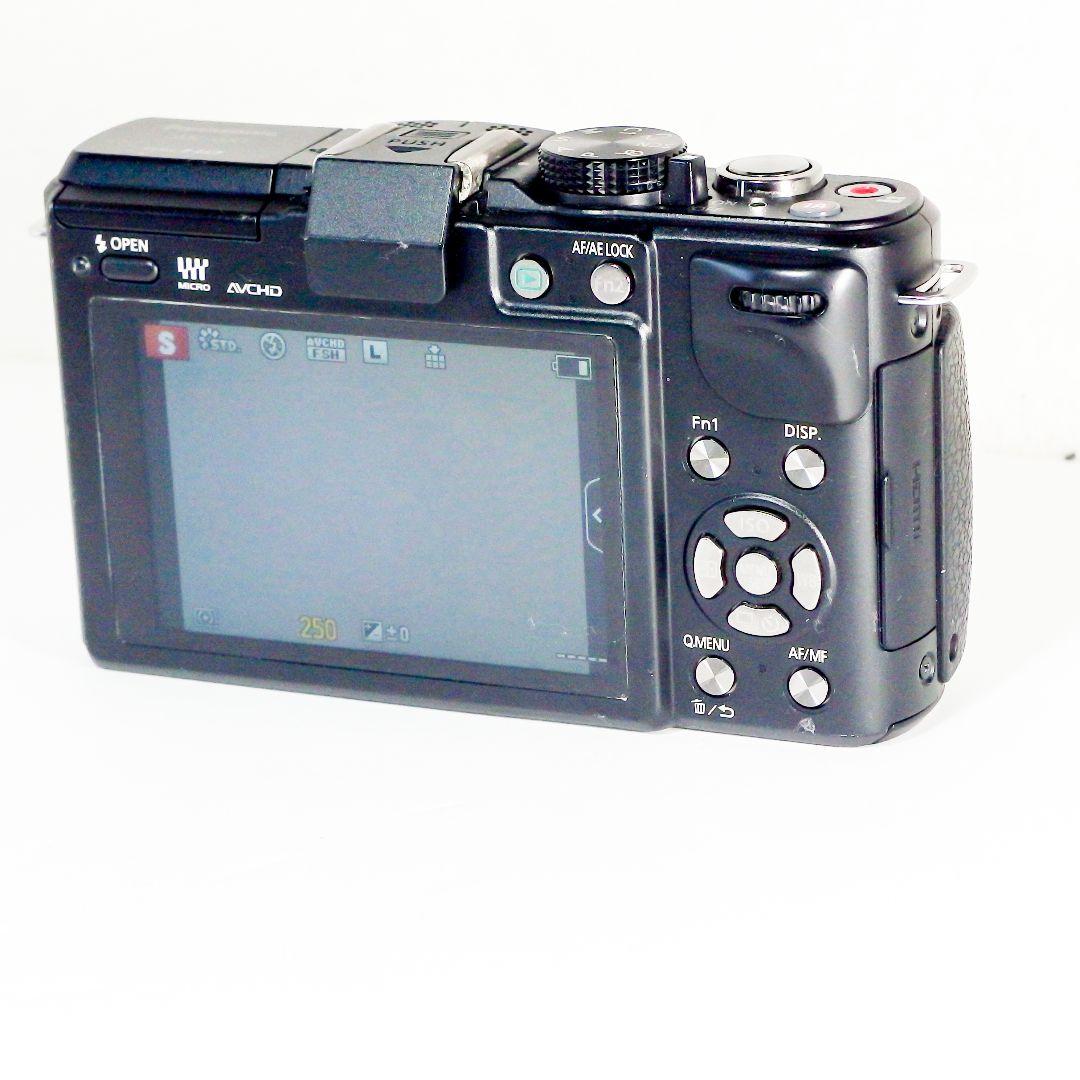 完動美品 パナソニック panasonic DMC-GX1 ブラック