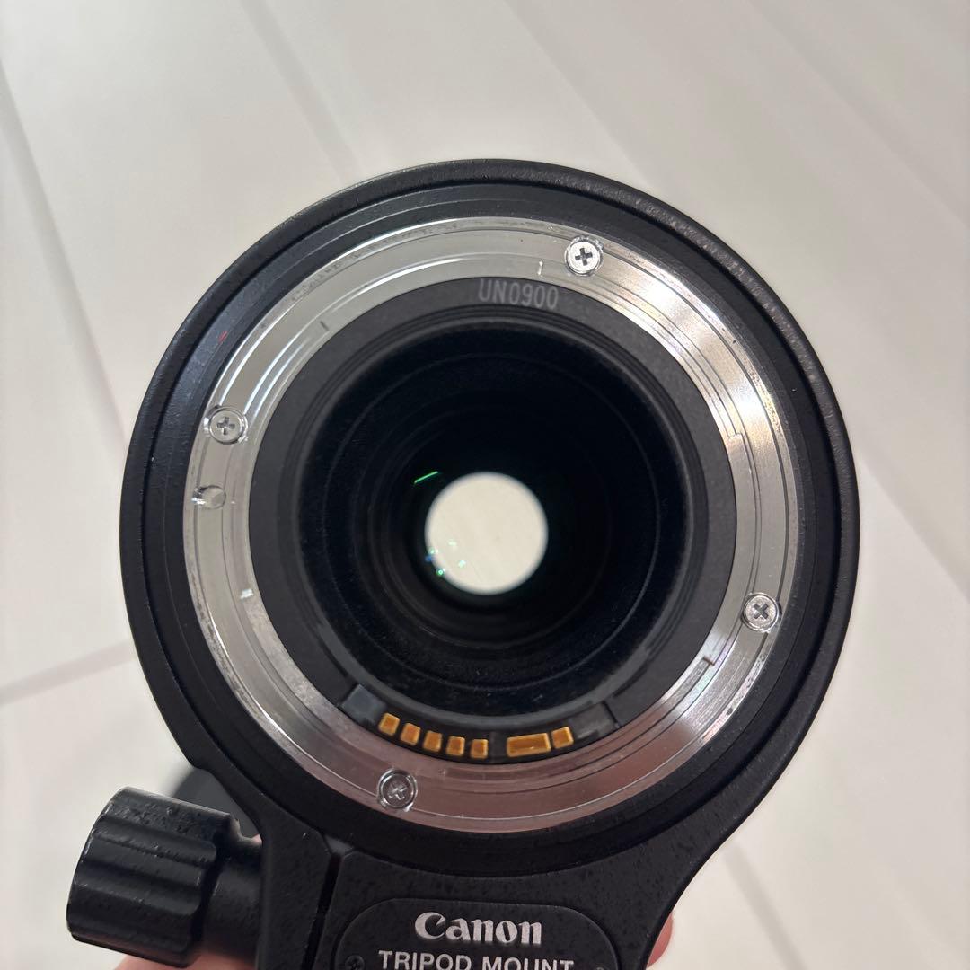 Canon MP-E 65mm f/2.8 マクロレンズ