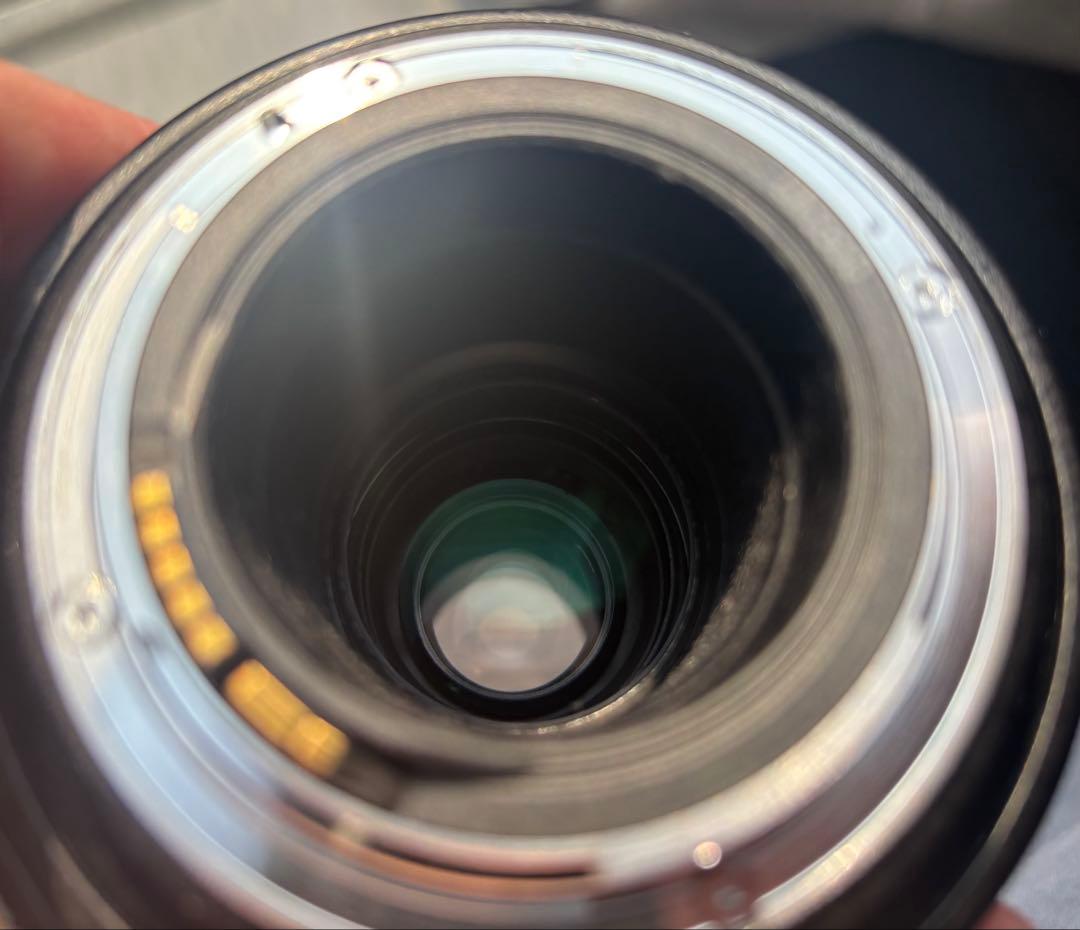 Canon MP-E 65mm f/2.8 マクロレンズ