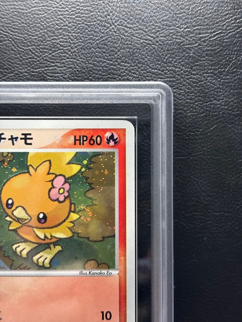 【ARS AU 真贋鑑定】ポケパークのアチャモ 002/009