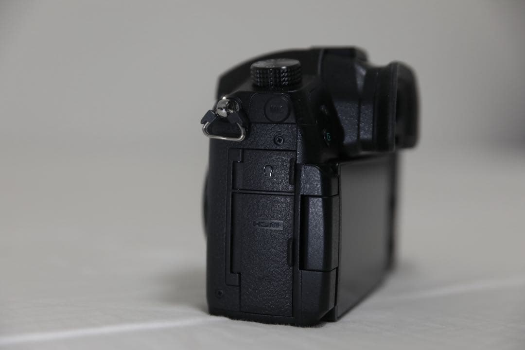 k*様 Panasonic LUMIX DC-GH5 動作確認済シャッター数共有