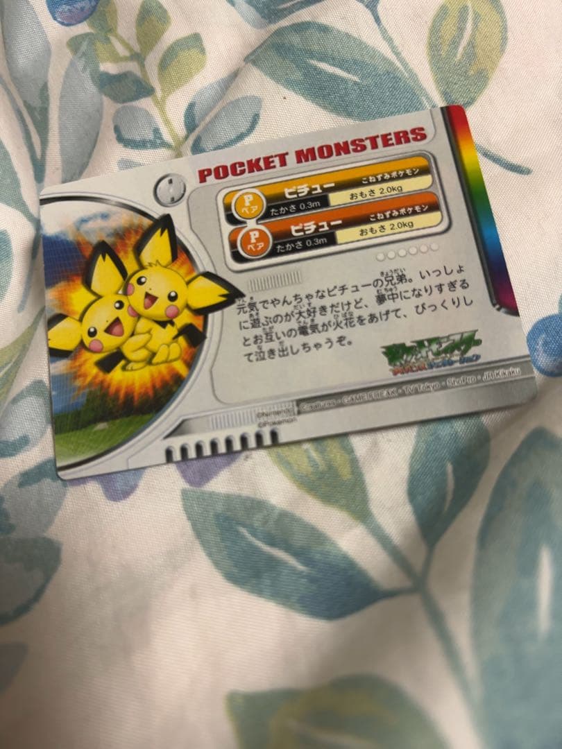 ポケットモンスター　ポケモン図鑑カード　ポケカ ピカチュウ　ピチュー　兄弟