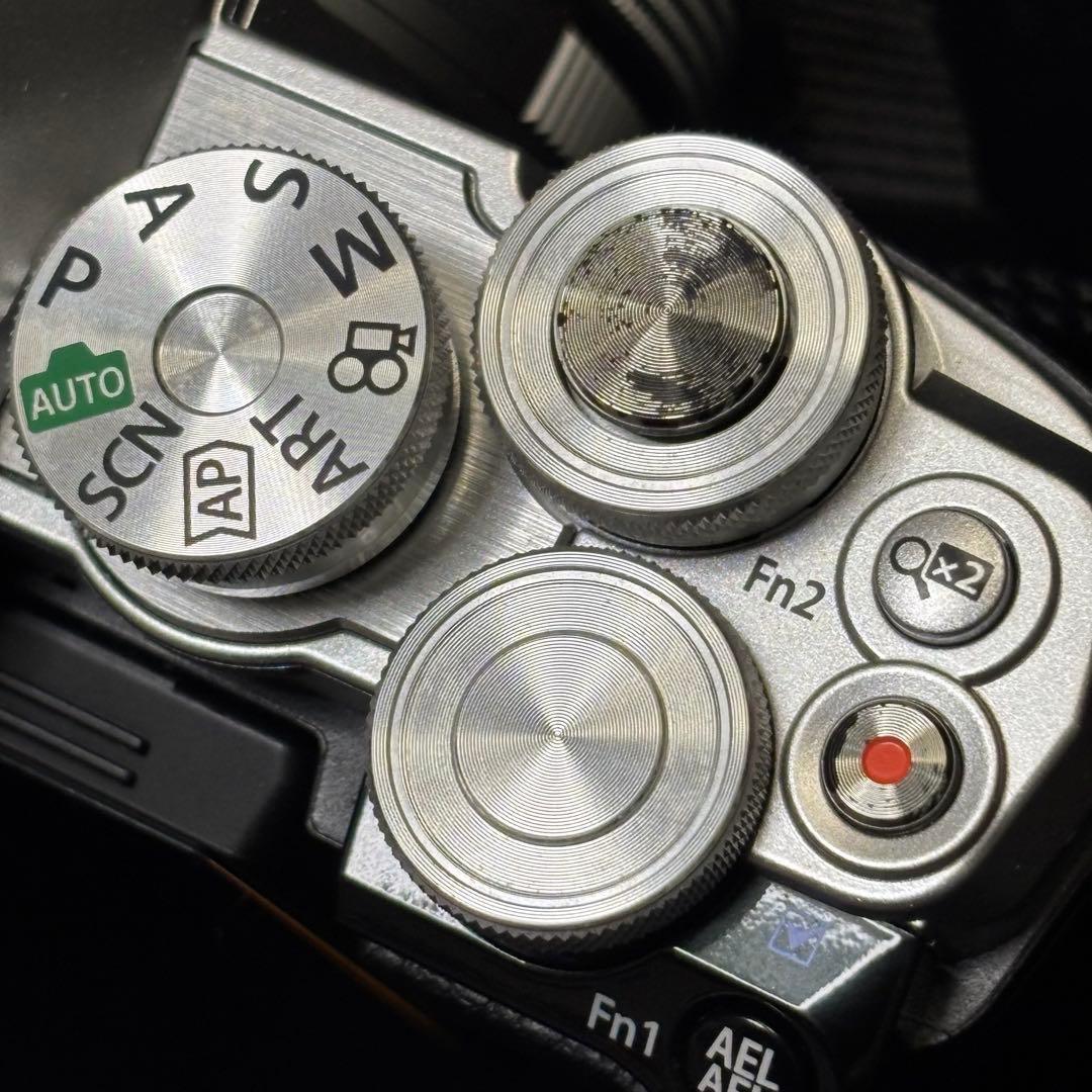 オリンパスOM-D E-M10 MarkⅢ ダブルズーム シャッター回数2140