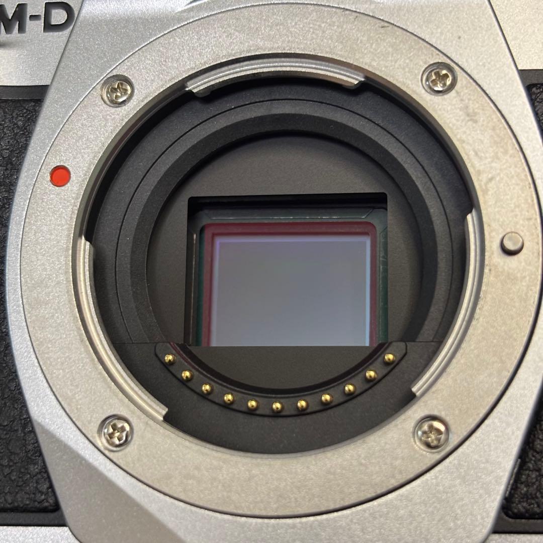 オリンパスOM-D E-M10 MarkⅢ ダブルズーム シャッター回数2140