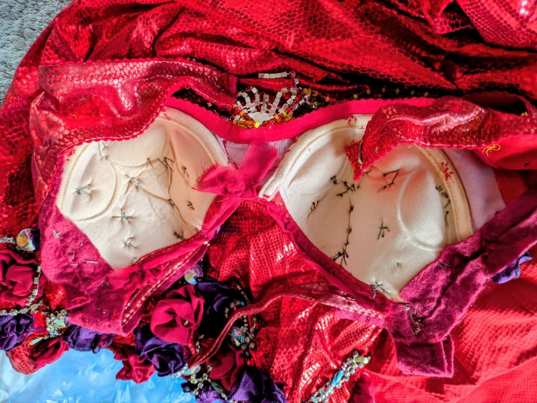 ベリーダンス 衣装 セットアップ レッド ブラ スカート 発表会 練習 新品