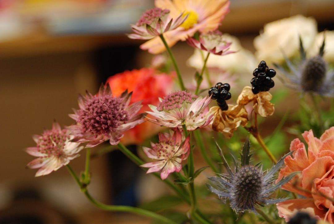 Nikon D80 CCDデジタル一眼レフ　ニッコール35-70レンズ付 動作品