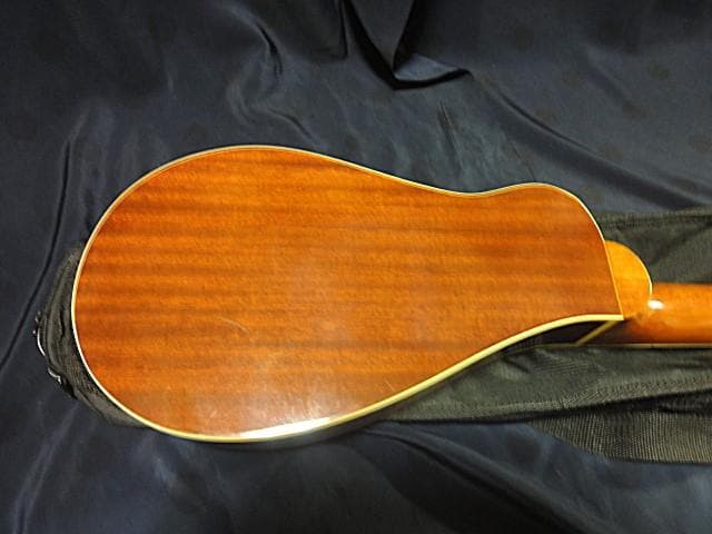 ♪TINY BOY タイニーボーイTT-40 トラベルギター♪