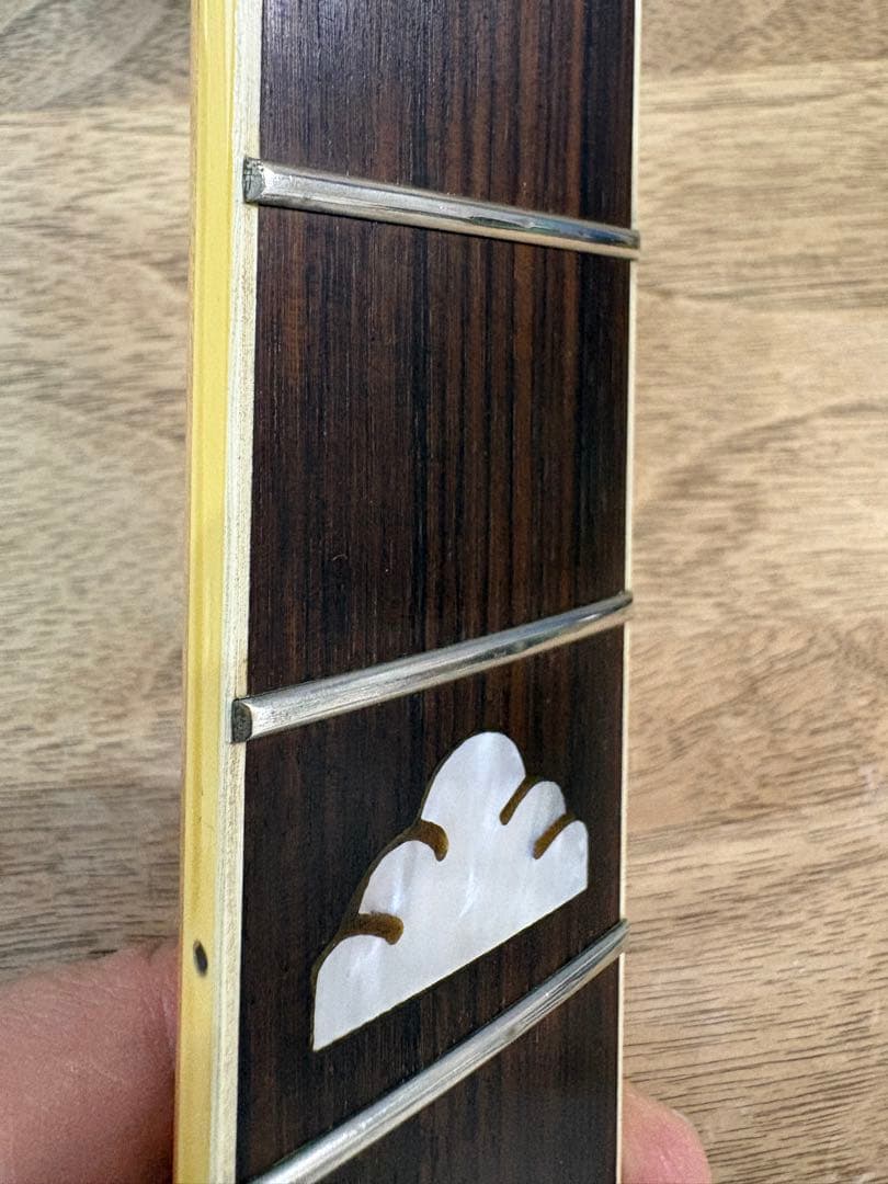 FERNANDES MG-80X hide モデル X JAPAN 抜け殻