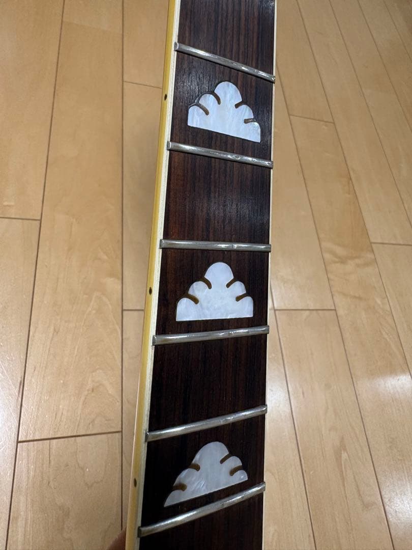 FERNANDES MG-80X hide モデル X JAPAN 抜け殻