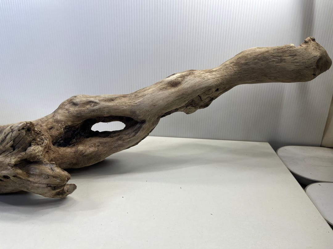 R64特大流木 アク抜き済み流木 爬虫類シェルター 登り木 インテリア 生け花