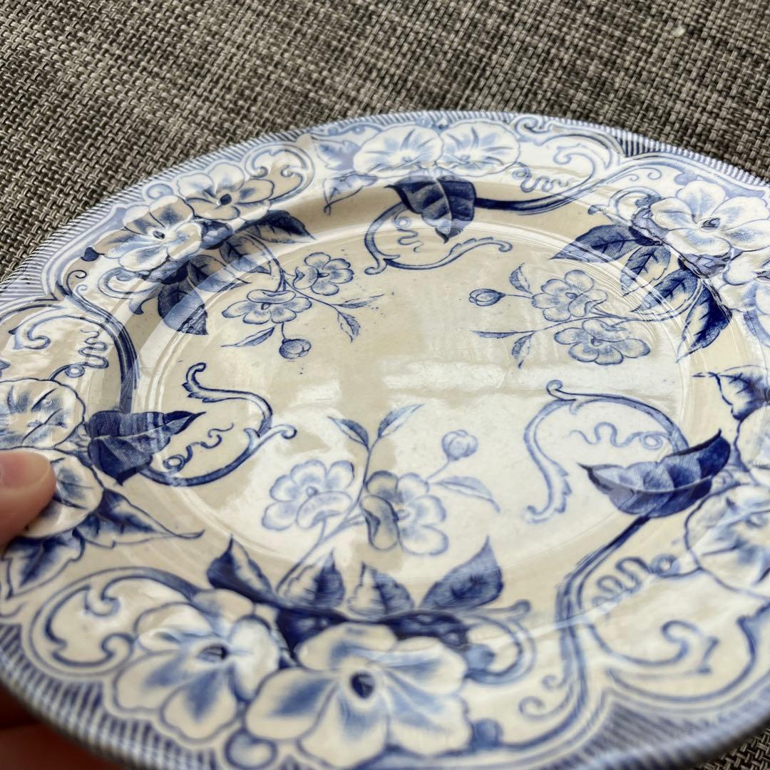 【ray 】クレイユモントロー　FLORAシリーズ　プレート2枚セット