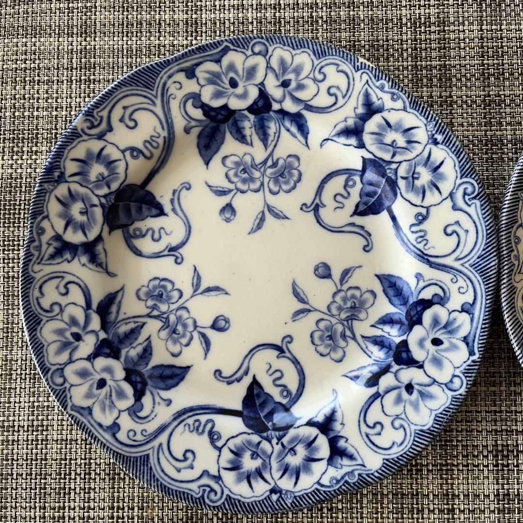 【ray 】クレイユモントロー　FLORAシリーズ　プレート2枚セット