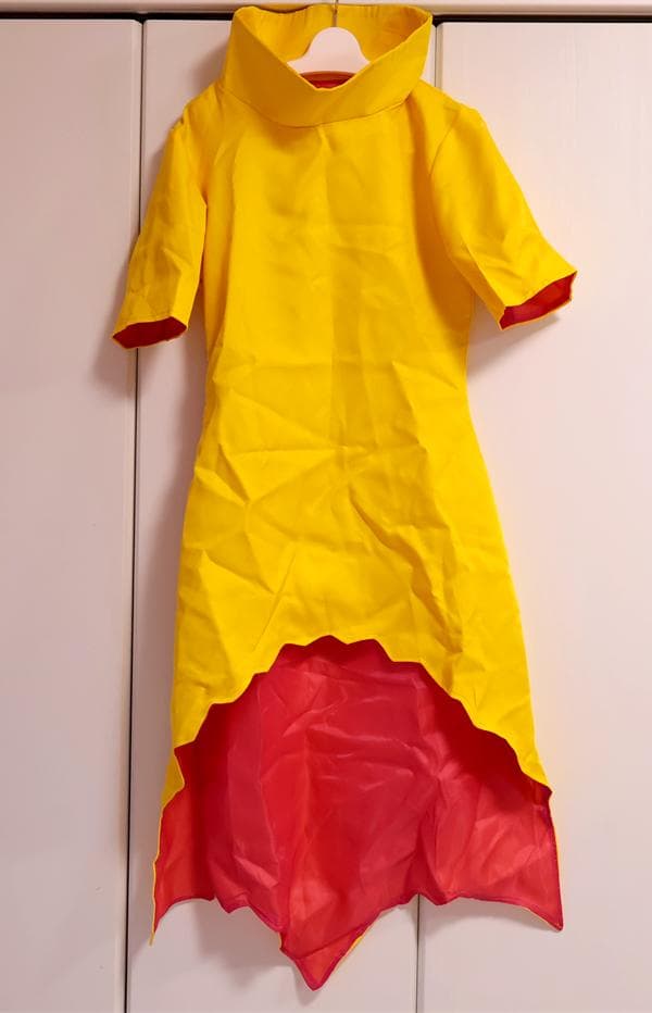 Dr.STONE　ドクターストーン　西園寺羽京　衣装＋ウィッグ　Ｍ