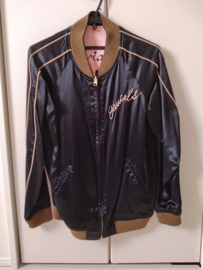 ガヴィルスカジャン