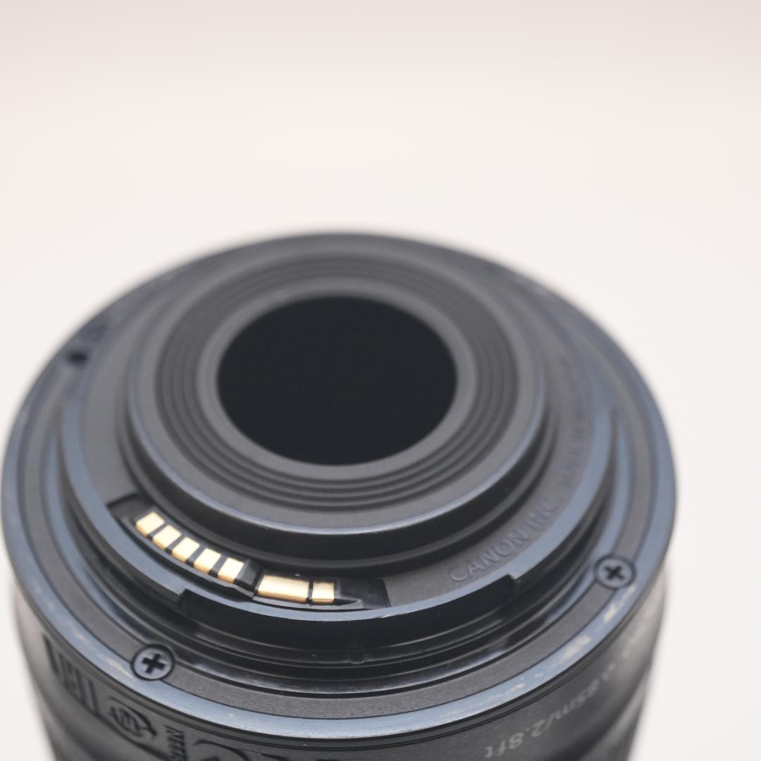 ★canon 望遠 EF-S 55-250 4-5.6 IS STM